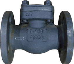 1/2" 150# RF Flange Check Valve, Forged Steel Body