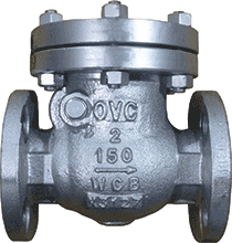 2" 150# RF Flange Check Valve, CS Body