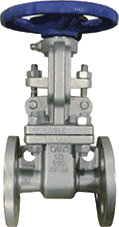 1.5"  150# RF GATE VALVE 316 RF FE